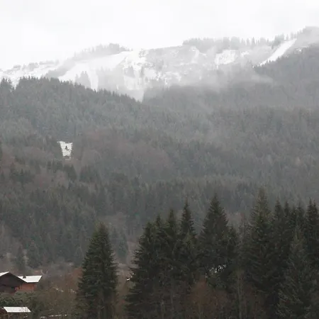 Sapinette *